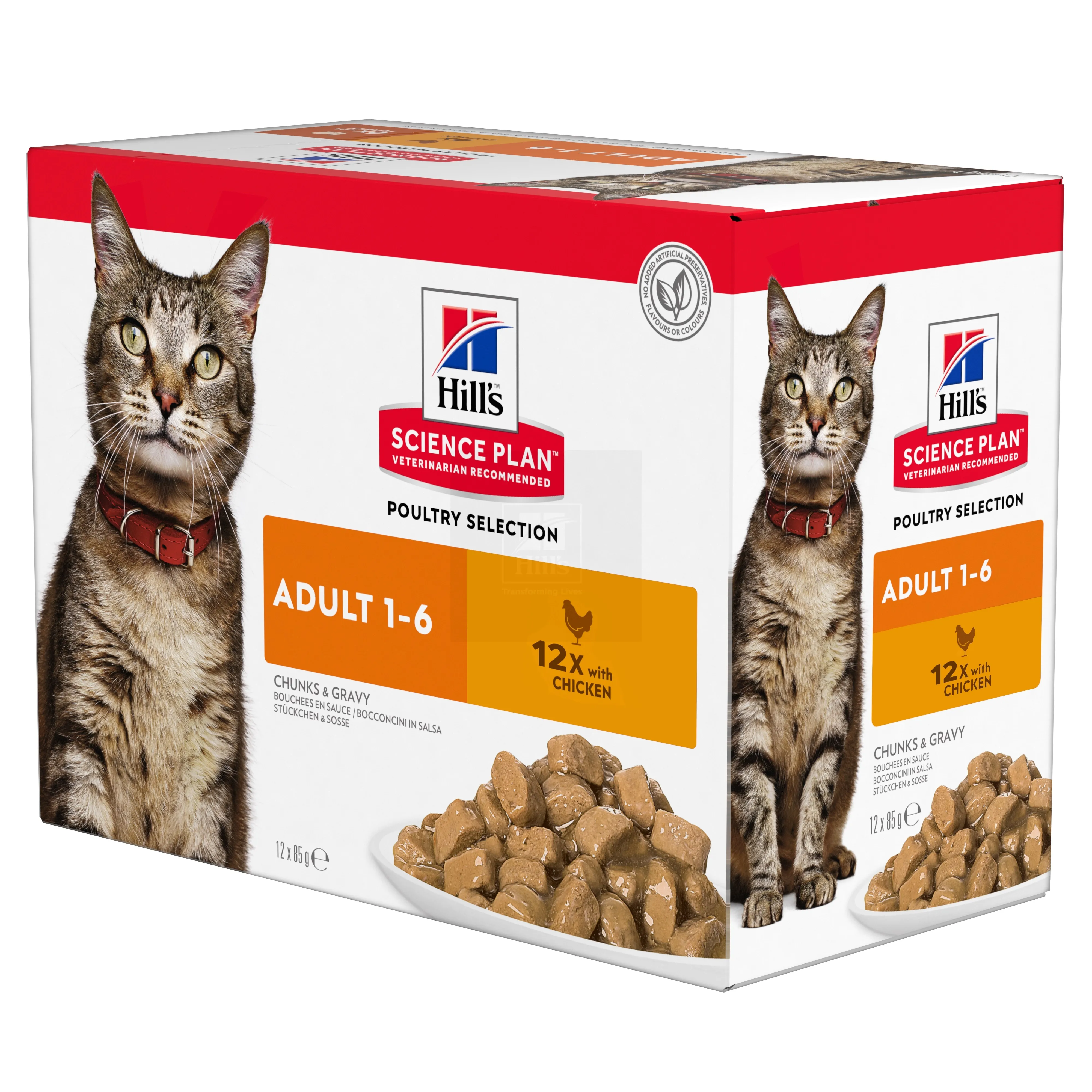 Hills kassi einekotike kana 85g 12tk - Tootepilt 