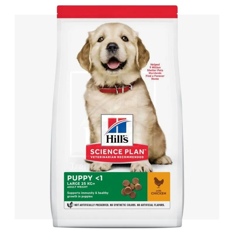Hill's Science Plan koeratoit kanaga suurt kasvu kutsikale 16kg - Tootepilt 