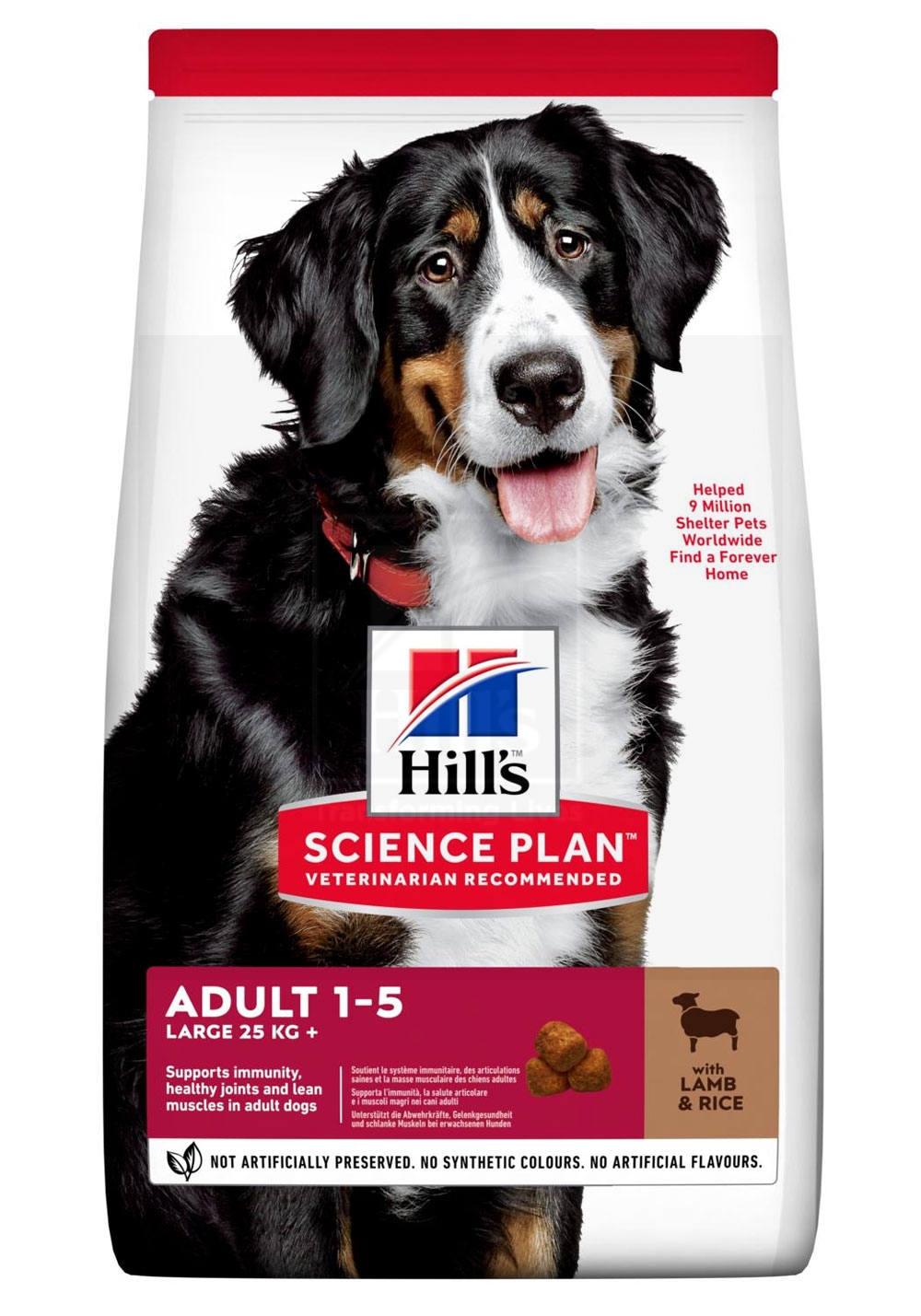 Hill's Science Plan koeratoit lamba & riisiga suurt kasvu koerale 14kg - Tootepilt 