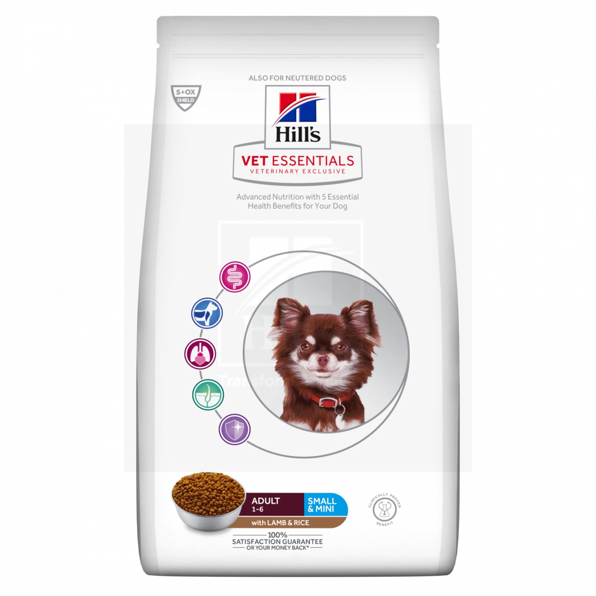 Hill's Vet Essentials Small & Mini koeratoit lamba & riisiga 7kg