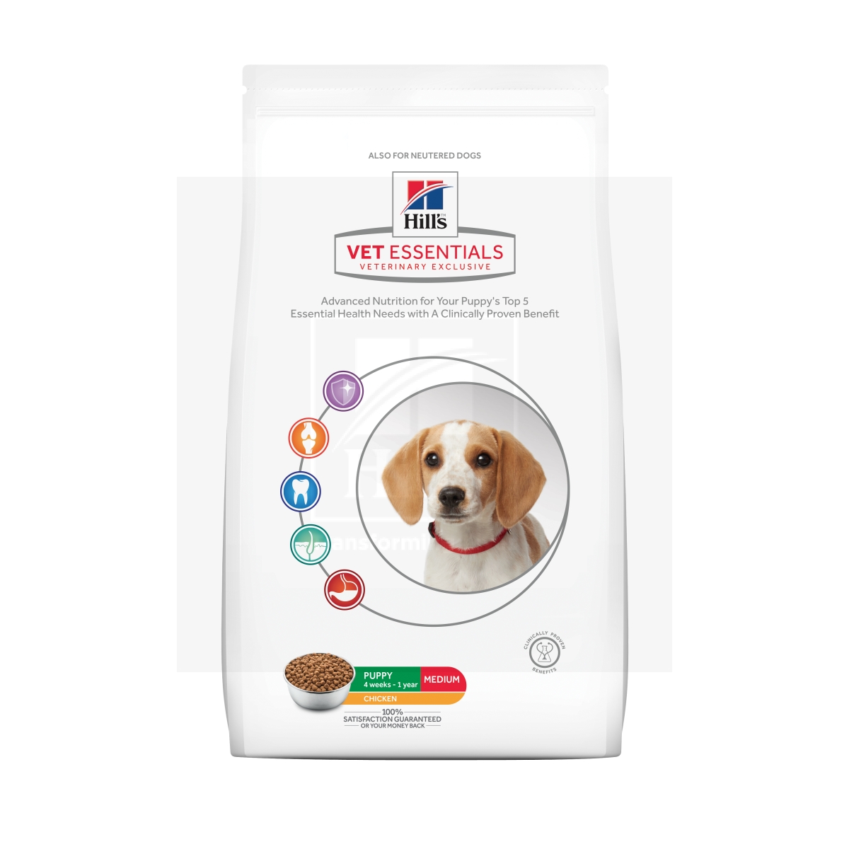 Hill's Vet Essentials Medium kutsikatoit kanaga 10kg