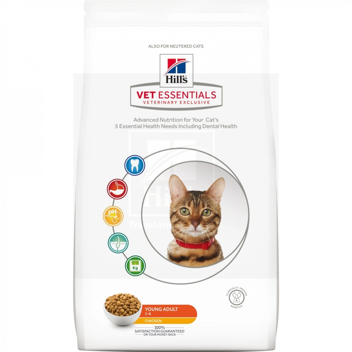 Hill's Vet Essentials Young Adult kassitoit kanaga 1,5kg