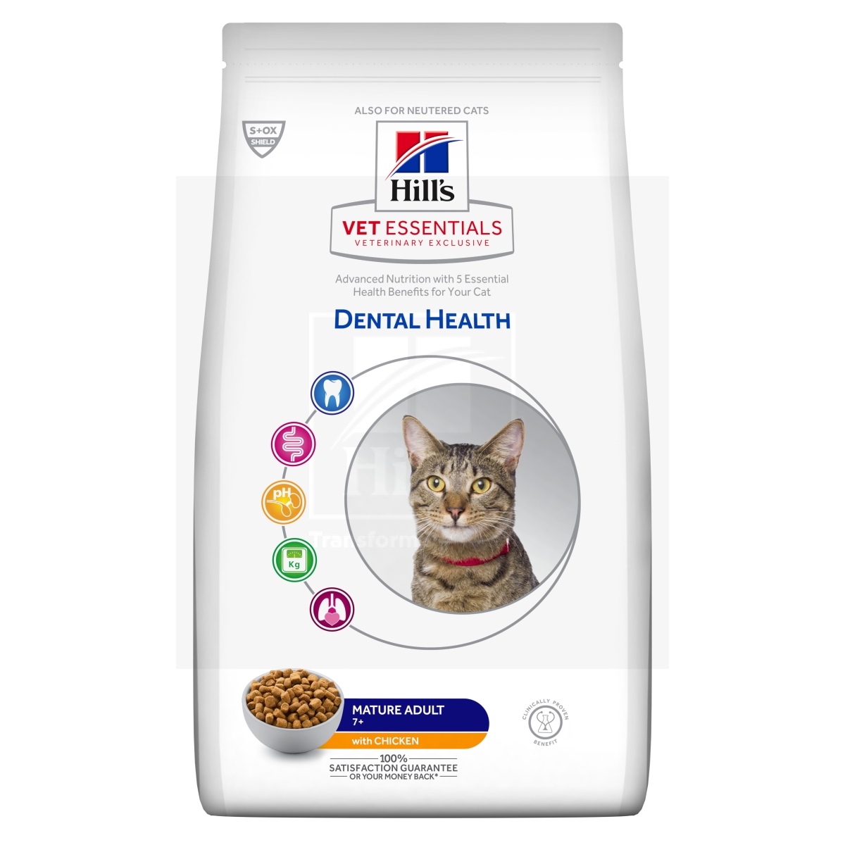 Hill's Vet Essentials Dental Mature kassitoit kanaga 1,5kg