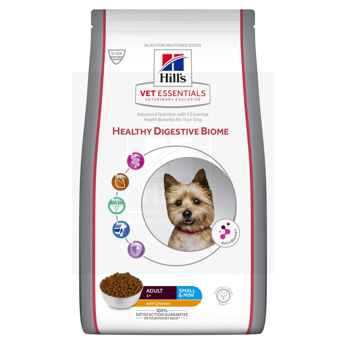 Hill's Vet Essentials Digestive Biome Small&Mini koera täissööt 2kg