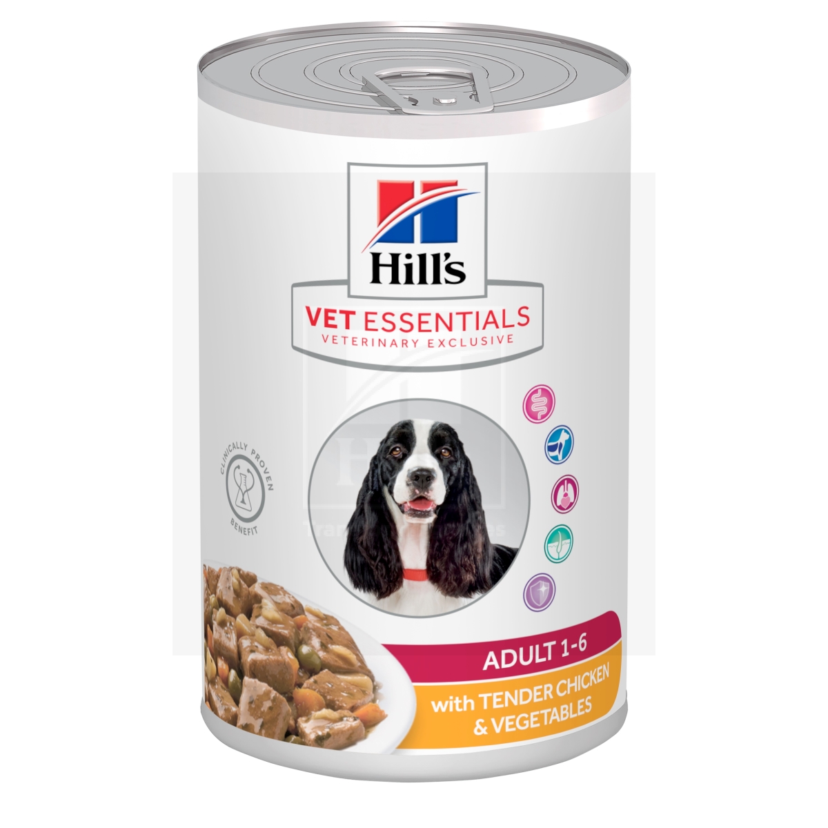 Hill's Vet Essentials hautis kana ja köögiviljadega koerale 363g