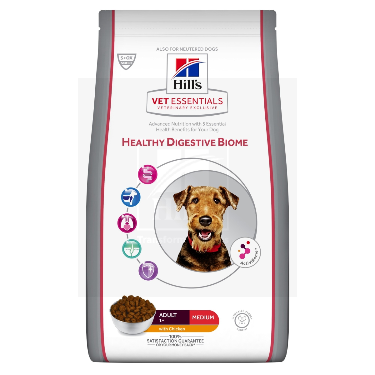 Hill's Vet Essentials Digestive Biome Medium koera täissööt 2kg