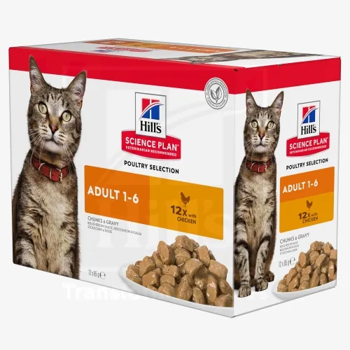 Product image of Hills kassi einekotike kana 85g 12tk