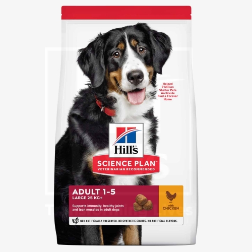 Product image of Hill's Science Plan koeratoit kanaga suurt kasvu koerale 14kg