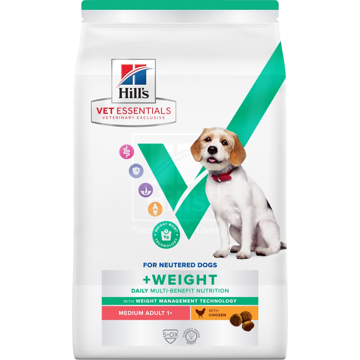 Hills VE MB+Weight kuivtoit keskmist kasvu koertele kanaga, 10 kg - Tootepilt
